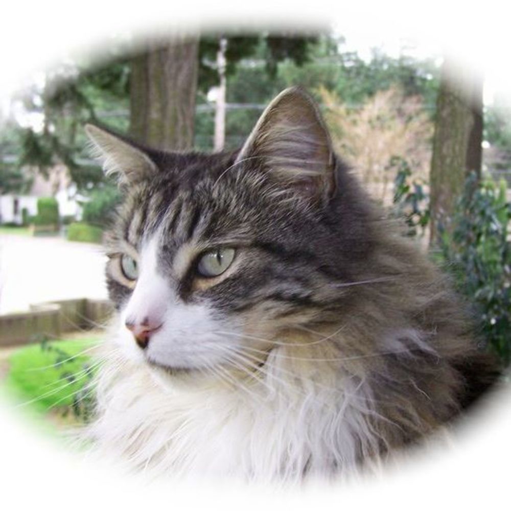 Meet your Posher, Robin